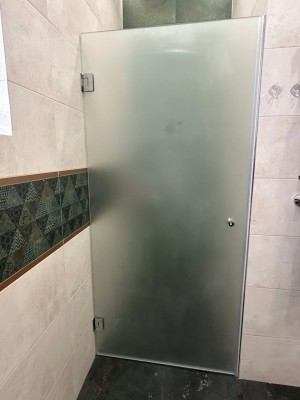 Дверь для душа Vega