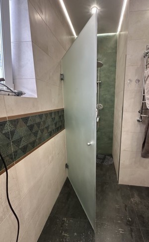 Двері для душу Vega