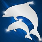 Акрилове дзеркало Reflex 011