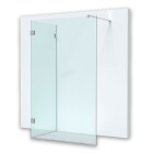 Перегородка для душу Phoenix